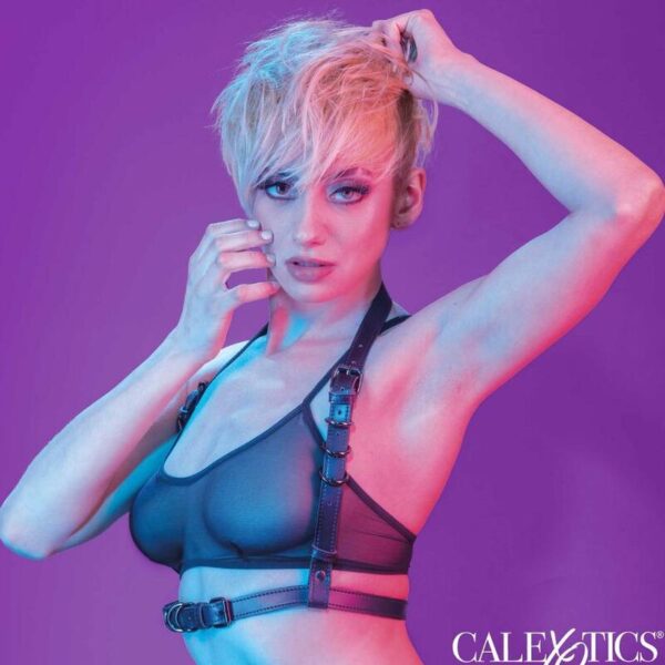 CALIFORNIA EXOTICS – EUPHORIA ARNÊS DE FIVELA HALTER PRETO