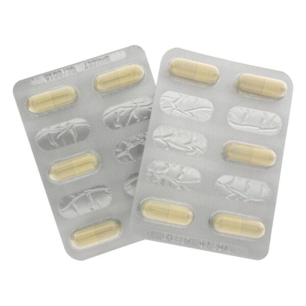 HOT – EXTREME LIBIDO CAPS FEMININO 10 PCS