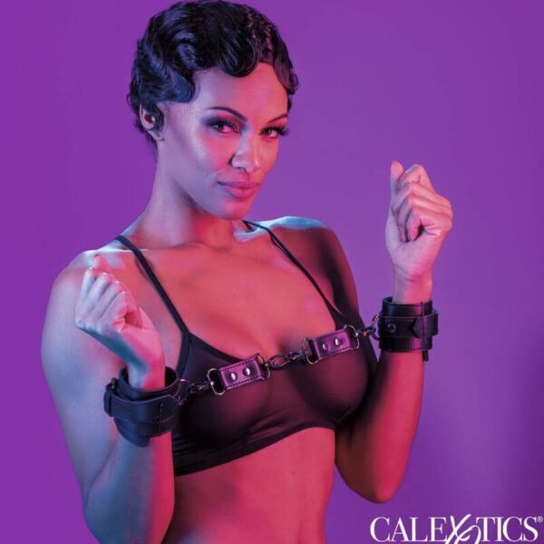 CALEXOTICS – EUPHORIA ALGEMAS DE MO